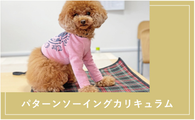 やさしい犬セーター 犬服教室 Laughin Dog