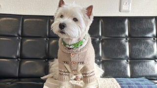 CF934424-EC83-4358-9DA0-