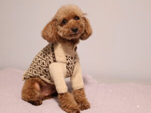 ラフィンドッグ犬服教室 編み物ベーシック講座編み込み模様のセーター