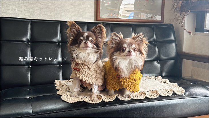 編み物キットレッスン 犬用編み物ワークショップ